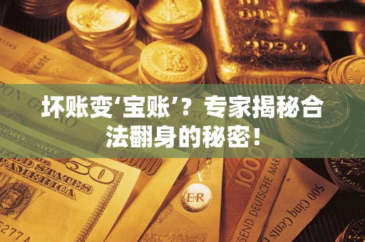 北京坏账变‘宝账’？专家揭秘合法翻身的秘密！