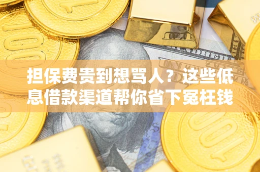 北京担保费贵到想骂人？这些低息借款渠道帮你省下冤枉钱