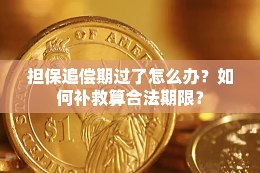 北京担保追偿期过了怎么办？如何补救算合法期限？