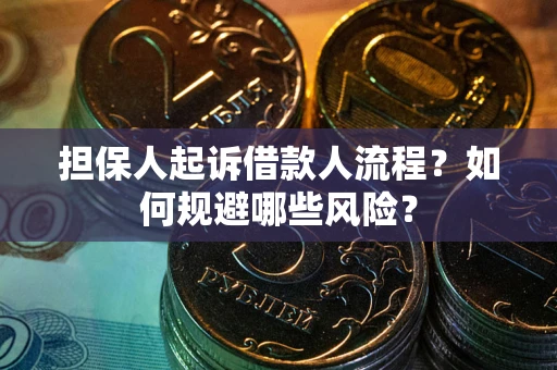 北京担保人起诉借款人流程？如何规避哪些风险？