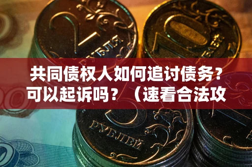 北京共同债权人如何追讨债务？可以起诉吗？（速看合法攻略）